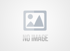 飞边（披锋）问题